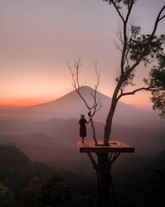 Magic Hills Bali - Magical Eco-Luxury Lodge Selat ภายนอก รูปภาพ